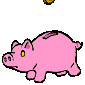 pig.gif (2461 bytes)